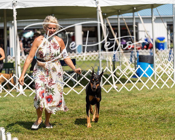 20230903-DSC02655