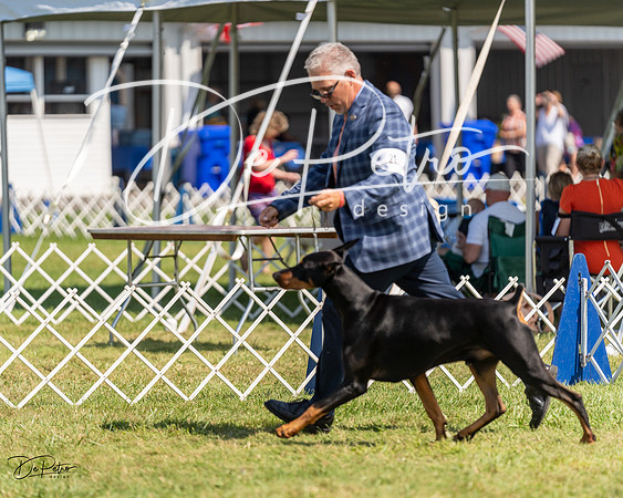 20230903-DSC02664
