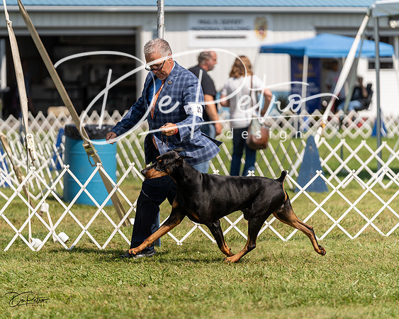 20230903-DSC02668