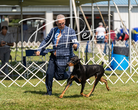 20230903-DSC02678