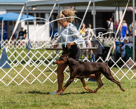 20230903-DSC02691