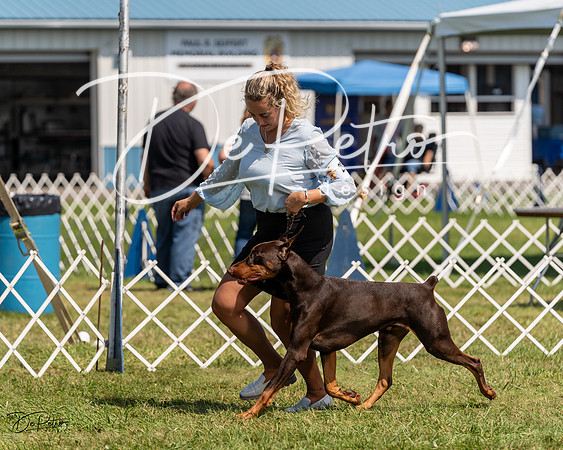 20230903-DSC02696
