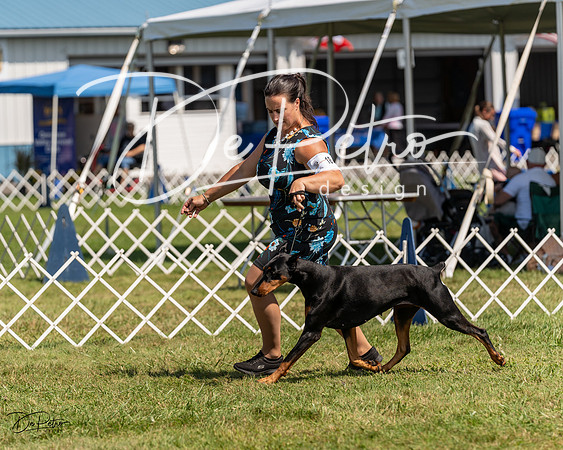 20230903-DSC02725