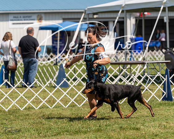 20230903-DSC02727