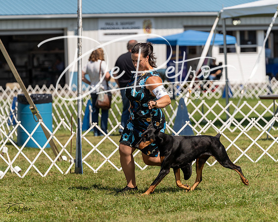 20230903-DSC02730