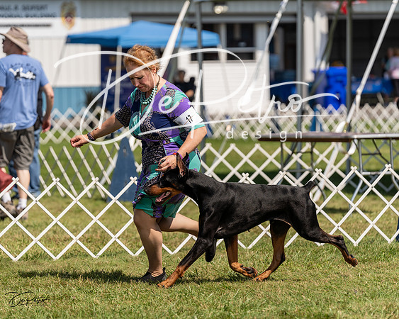 20230903-DSC02749