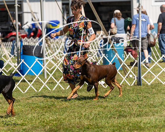 20230903-DSC02755