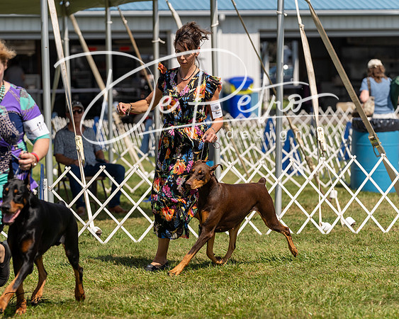 20230903-DSC02758