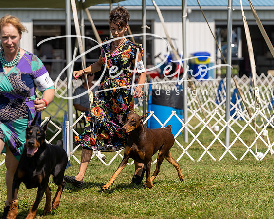 20230903-DSC02760