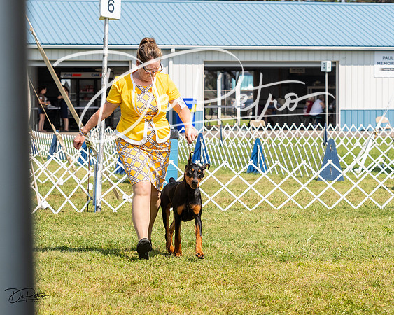 20230903-DSC02049