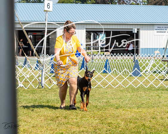 20230903-DSC02052