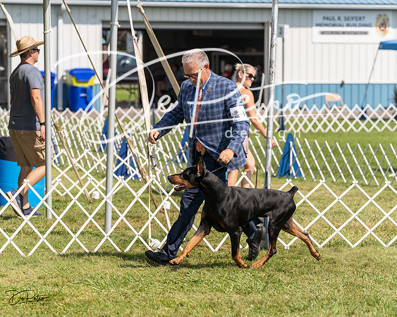 20230903-DSC02074