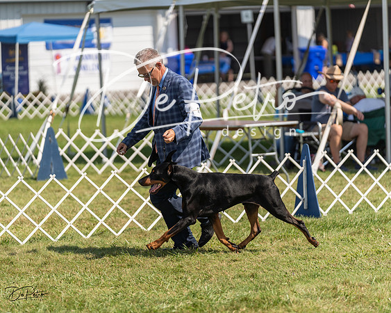 20230903-DSC02105