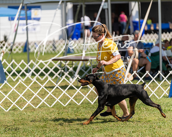 20230903-DSC02125