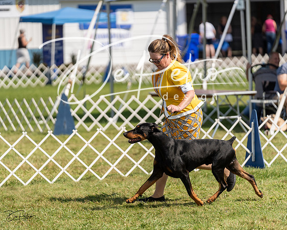 20230903-DSC02127