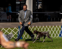 20230903-DSC03024