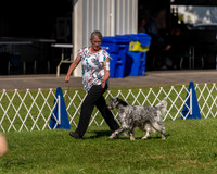 20230903-DSC03014