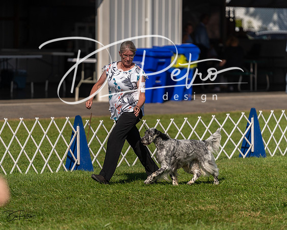 20230903-DSC03014