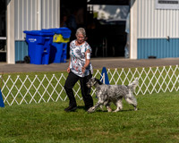 20230903-DSC03010