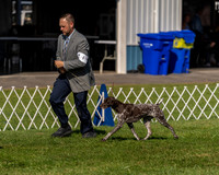 20230903-DSC03019