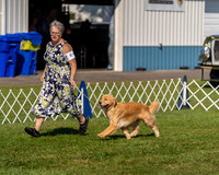 20230903-DSC03027