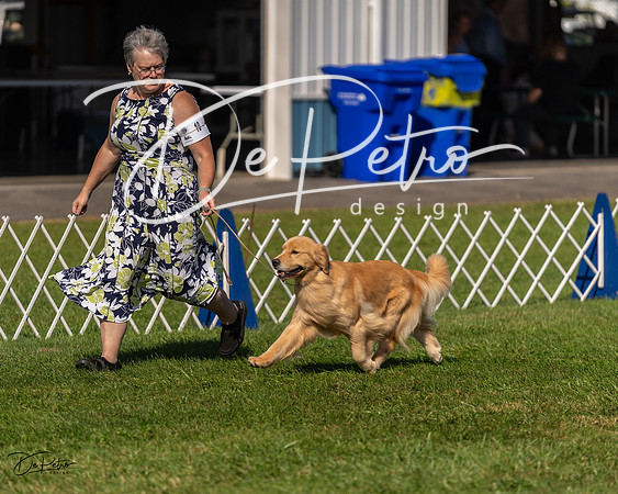 20230903-DSC03034