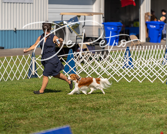 20230903-DSC03038