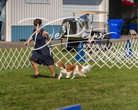 20230903-DSC03040