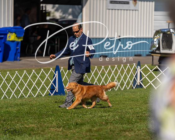 20230903-DSC03048