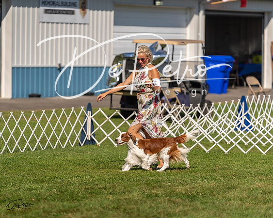 20230903-DSC03051