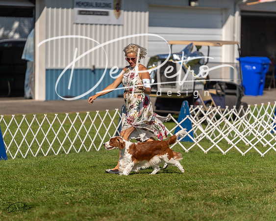 20230903-DSC03053