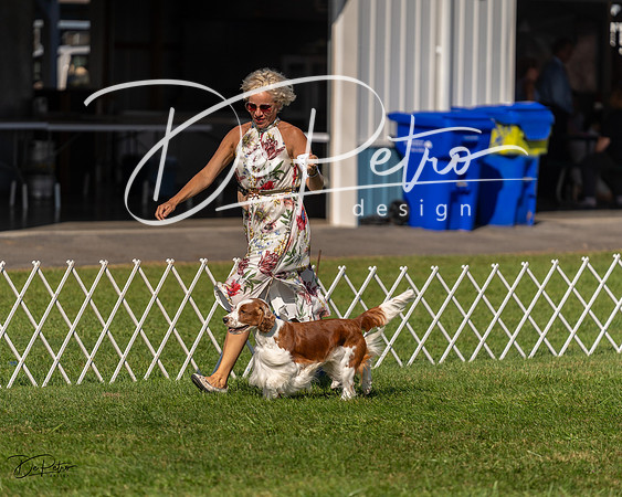 20230903-DSC03067