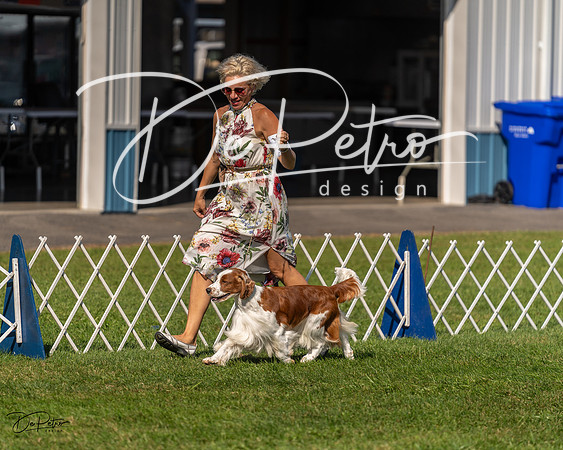 20230903-DSC03070