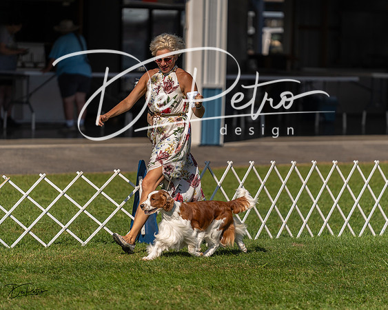 20230903-DSC03074
