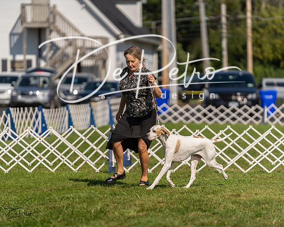20230903-DSC03098