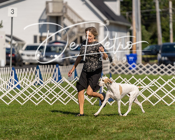 20230903-DSC03100