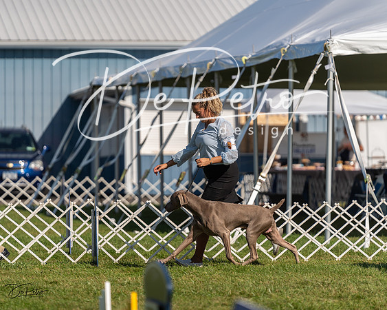 20230903-DSC03104