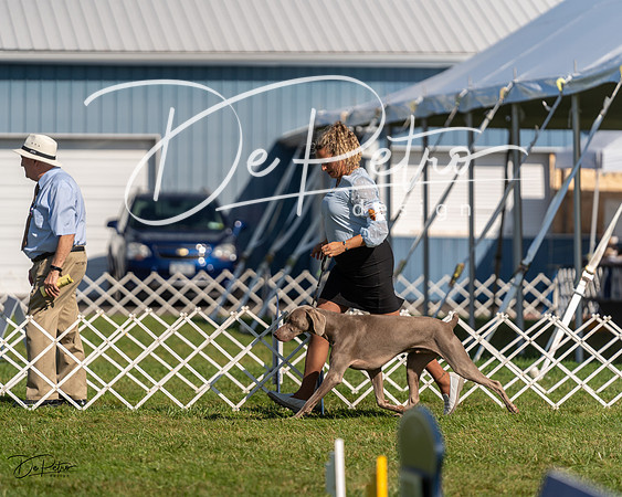 20230903-DSC03107