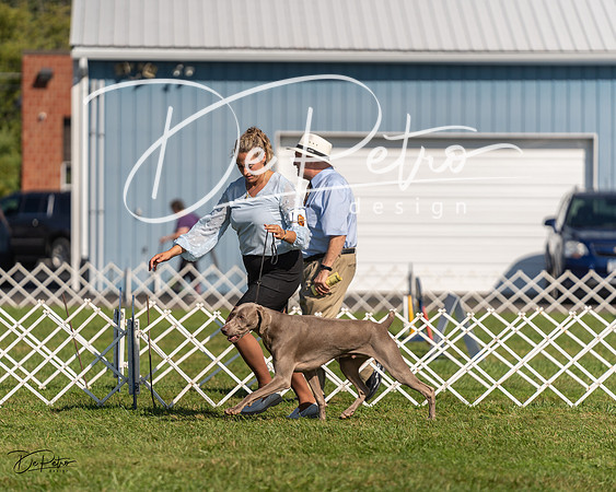 20230903-DSC03113