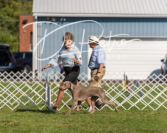 20230903-DSC03114