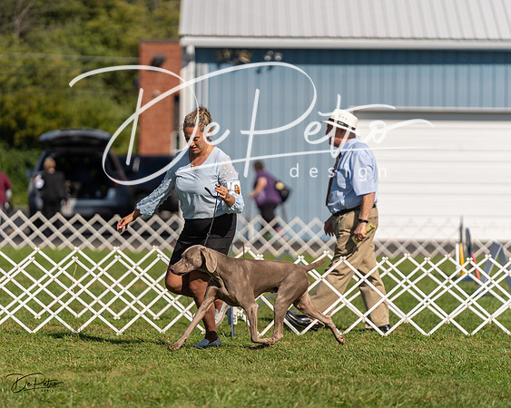 20230903-DSC03116
