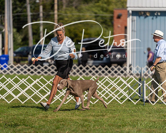 20230903-DSC03121