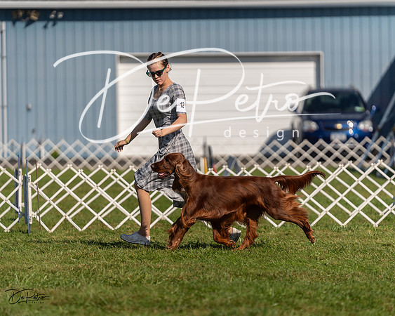 20230903-DSC03125