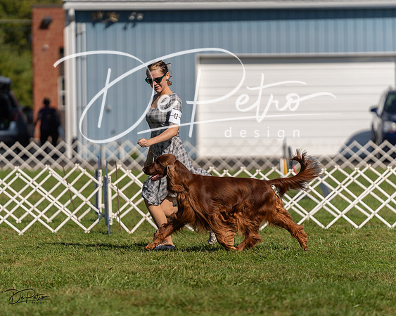 20230903-DSC03127