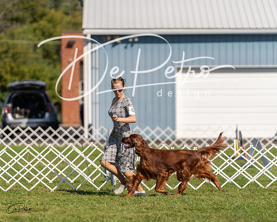 20230903-DSC03136