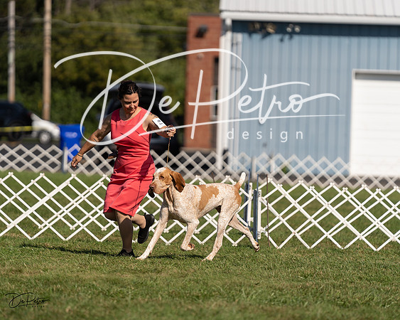 20230903-DSC03174