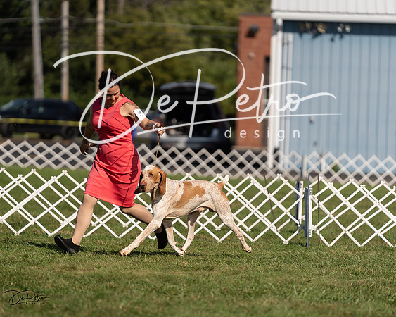20230903-DSC03176