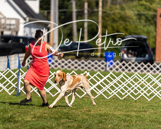 20230903-DSC03181