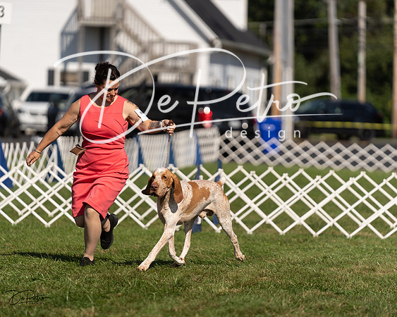 20230903-DSC03186