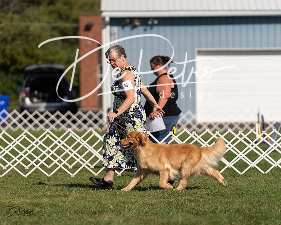 20230903-DSC03263